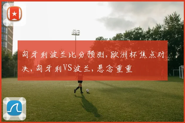 匈牙利波兰比分预测,欧洲杯焦点对决,匈牙利VS波兰,悬念重重