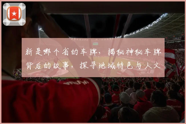 新是哪个省的车牌，揭秘神秘车牌背后的故事，探寻地域特色与人文情怀