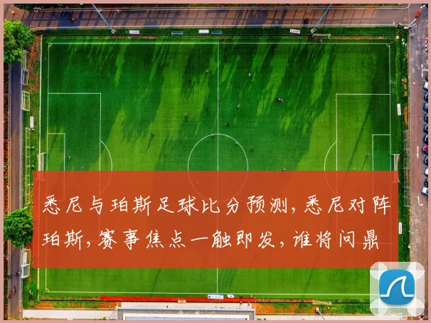 悉尼与珀斯足球比分预测,悉尼对阵珀斯,赛事焦点一触即发,谁将问鼎巅峰
