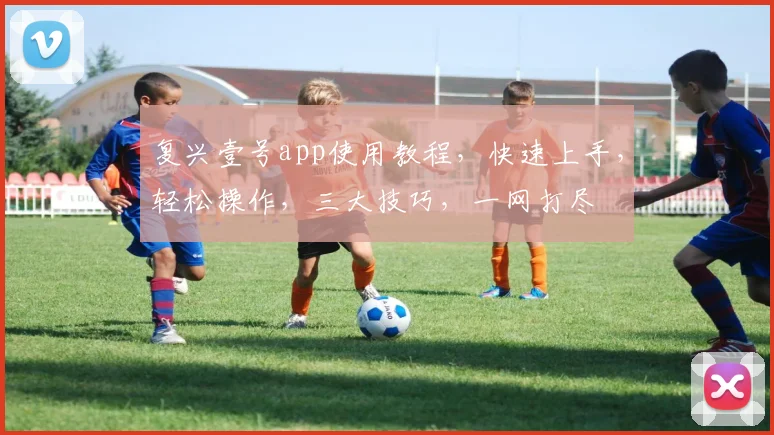 复兴壹号app使用教程，快速上手，轻松操作，三大技巧，一网打尽