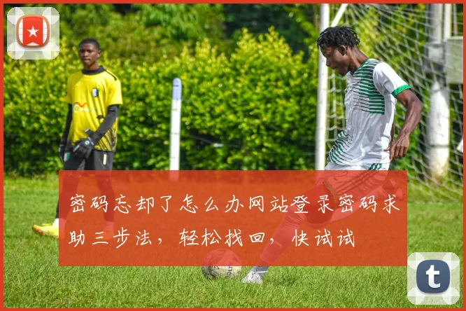 密码忘却了怎么办网站登录密码求助三步法，轻松找回，快试试