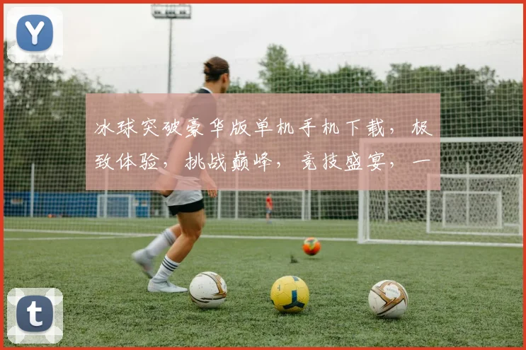 冰球突破豪华版单机手机下载，极致体验，挑战巅峰，竞技盛宴，一触即发，等你来战，独家优惠