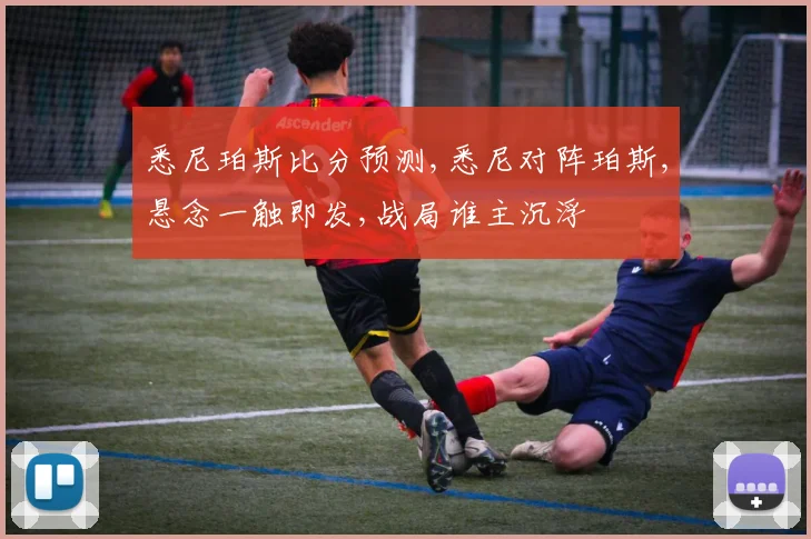 悉尼珀斯比分预测,悉尼对阵珀斯,悬念一触即发,战局谁主沉浮