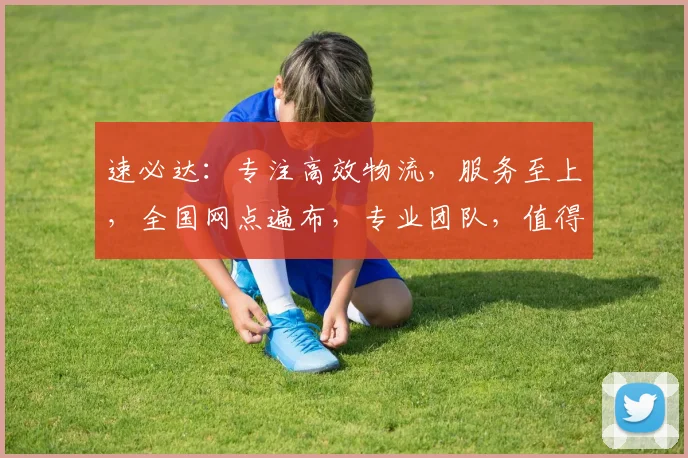 速必达：专注高效物流，服务至上，全国网点遍布，专业团队，值得信赖，三重保障。
